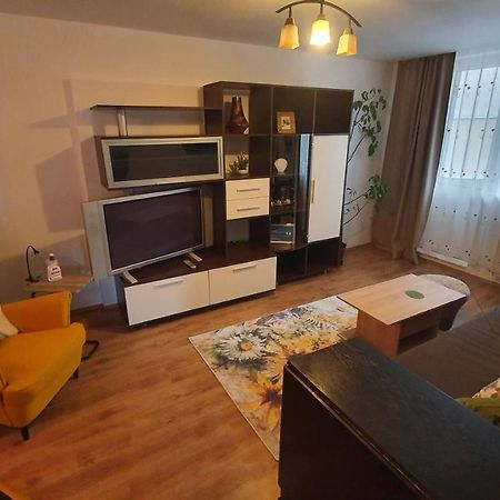 Apartament Cosbuc Baia Mare Ngoại thất bức ảnh