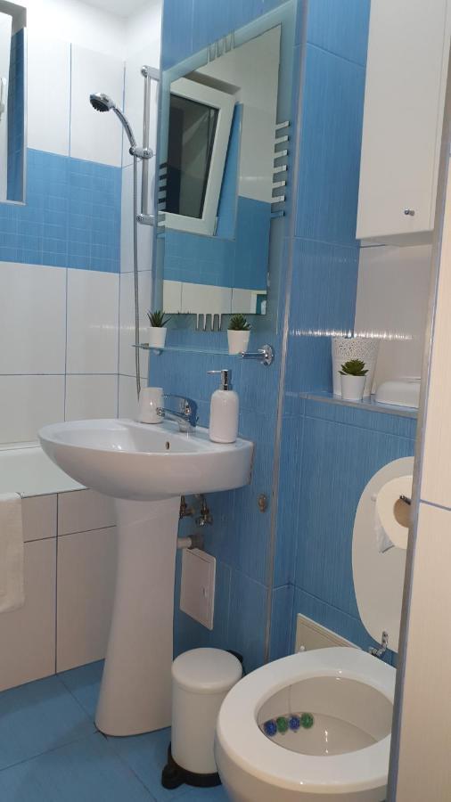 Apartament Cosbuc Baia Mare Ngoại thất bức ảnh