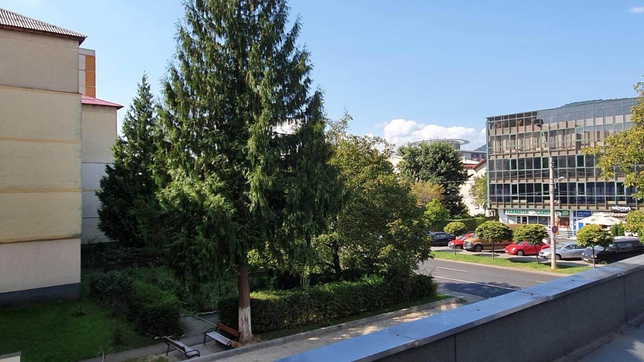 Apartament Cosbuc Baia Mare Ngoại thất bức ảnh