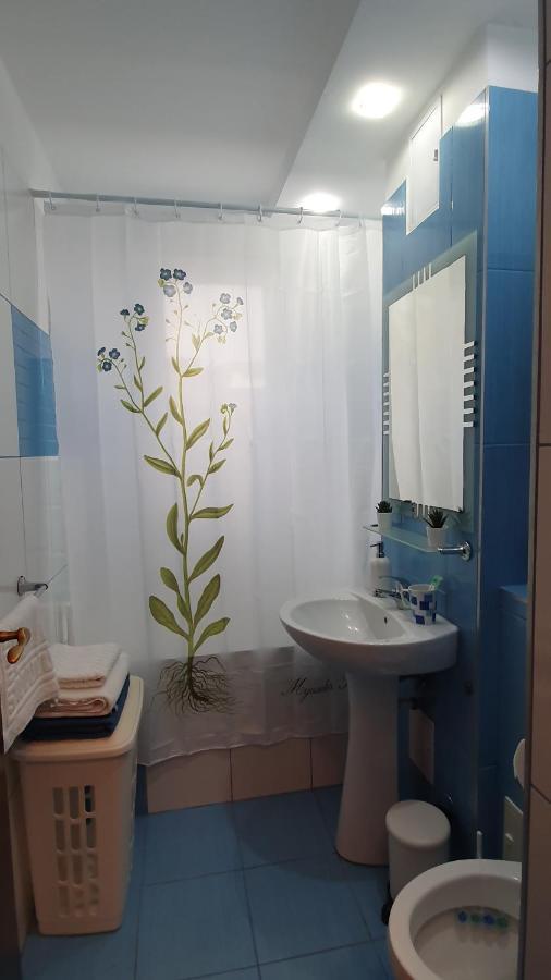 Apartament Cosbuc Baia Mare Ngoại thất bức ảnh