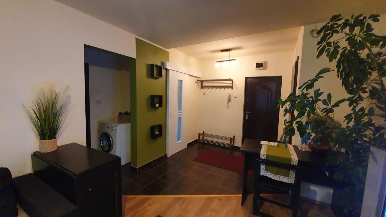 Apartament Cosbuc Baia Mare Ngoại thất bức ảnh
