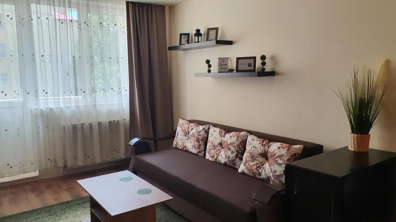 Apartament Cosbuc Baia Mare Ngoại thất bức ảnh