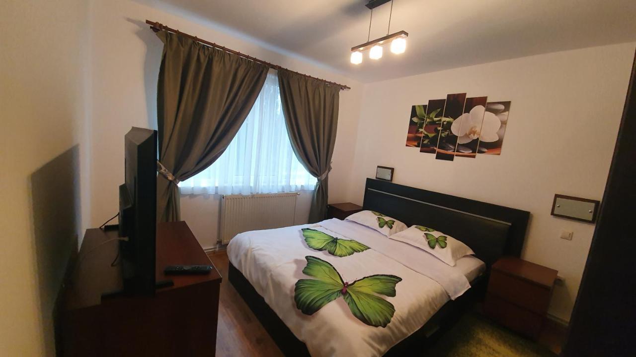 Apartament Cosbuc Baia Mare Ngoại thất bức ảnh