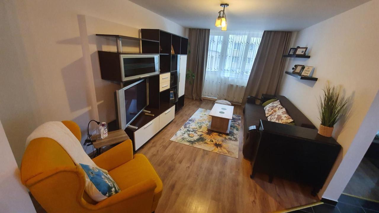 Apartament Cosbuc Baia Mare Ngoại thất bức ảnh