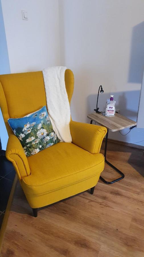 Apartament Cosbuc Baia Mare Ngoại thất bức ảnh