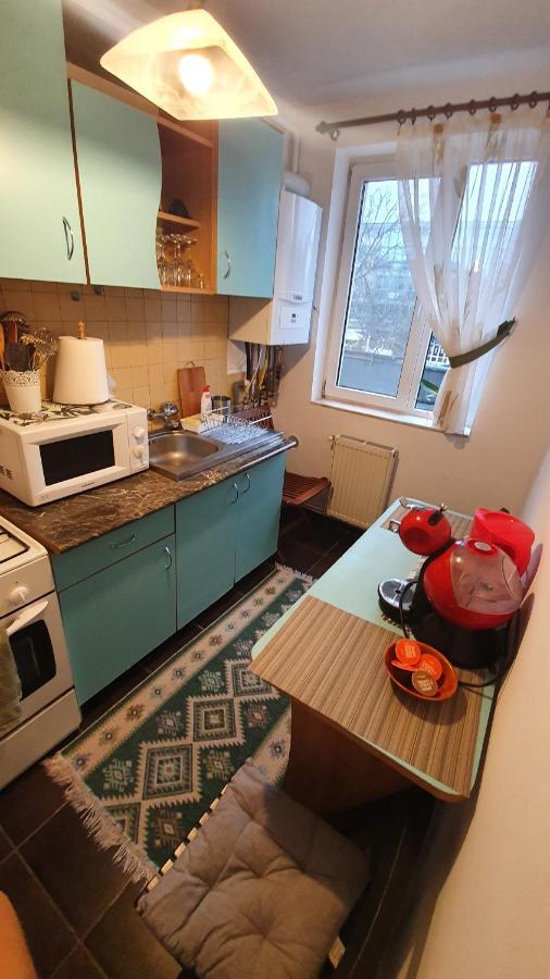 Apartament Cosbuc Baia Mare Ngoại thất bức ảnh